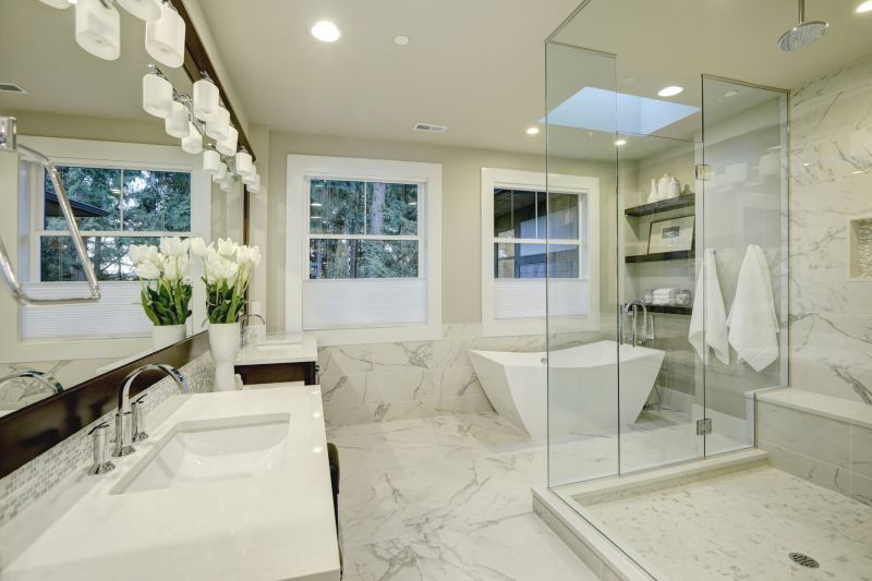 Elegant Bathtub & Shower Combos